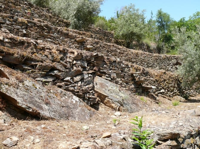 Mancha no vale da ribeira das mestras, Tabuaço <br>©Coleção Museu do Douro/Egídio Santos